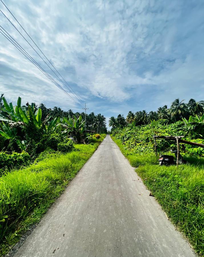 Bhuma Homestay *